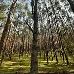 Hébergement de vacances Woodland - Dom Z Sauna I Balia Kamienczyk (Wyszkow)