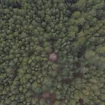 Woodland - Dom Z Sauna I Balia Hébergement de vacances *