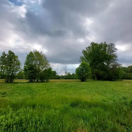 Woodland - Dom Z Sauna I Balia Σπίτι διακοπών Kamienczyk (Wyszkow)