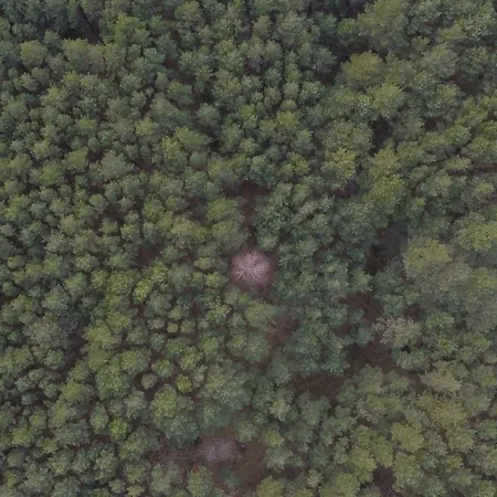 Woodland - Dom Z Sauna I Balia Vakantiehuis *