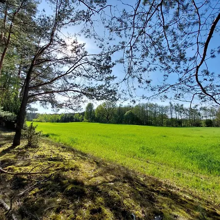 Dom wakacyjny Woodland - Dom Z Sauną I Balią *