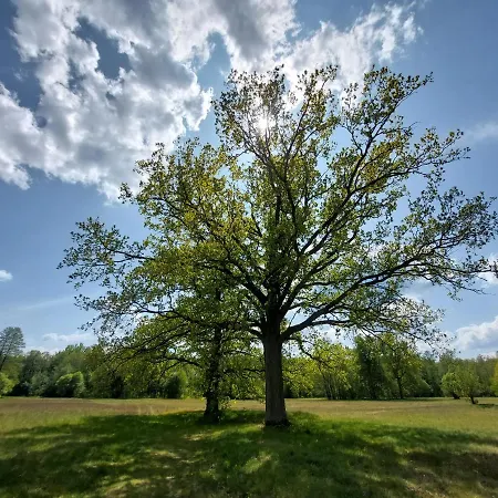 Woodland - Dom Z Sauną I Balią Kamienczyk (Wyszkow)