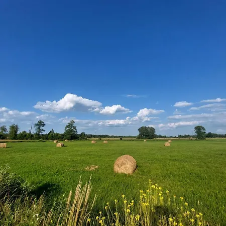 Woodland - Dom Z Sauna I Balia Kamienczyk (Wyszkow)