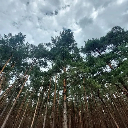 Holiday home Woodland - Dom Z Sauna I Balia *